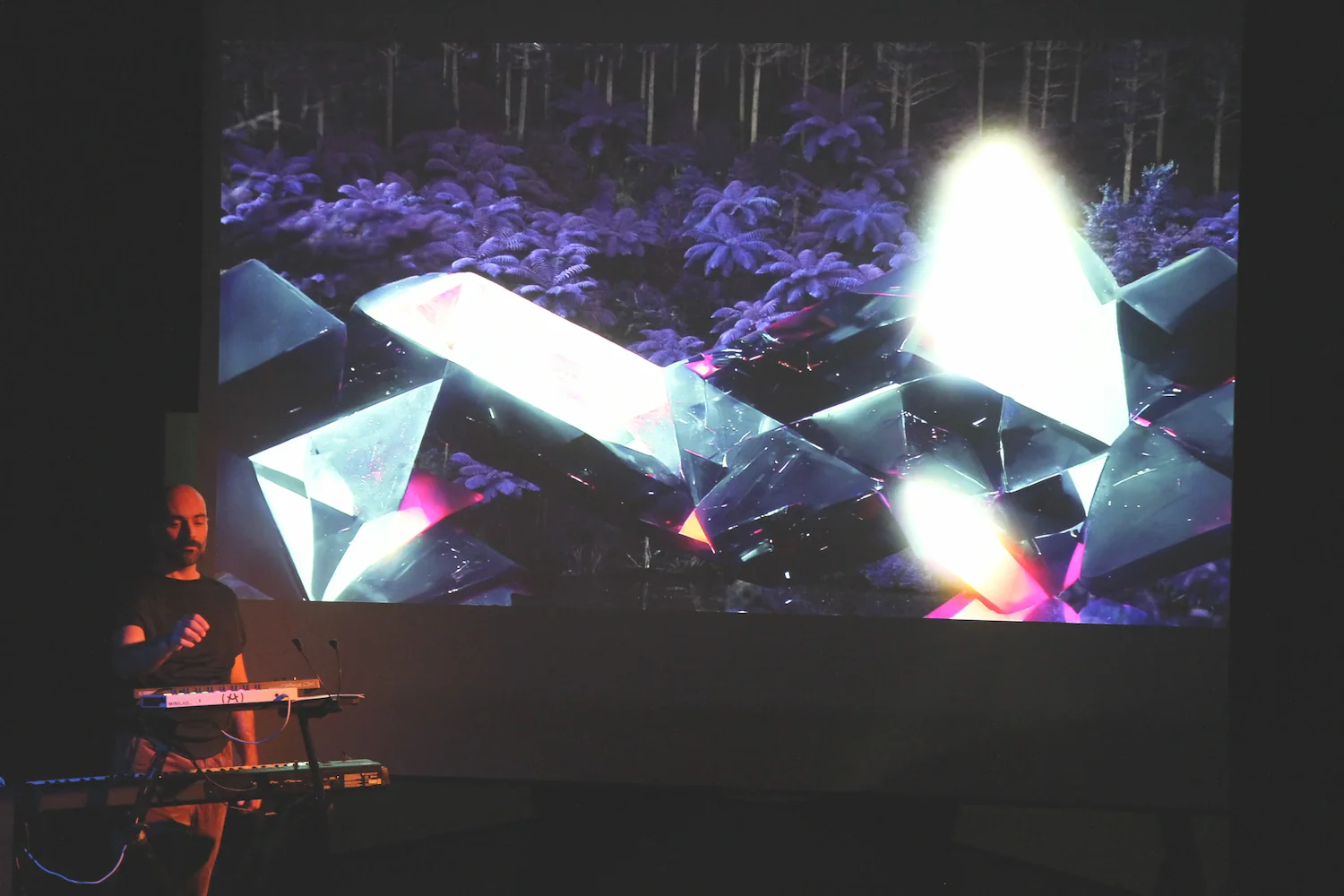 Live session performance photo 5